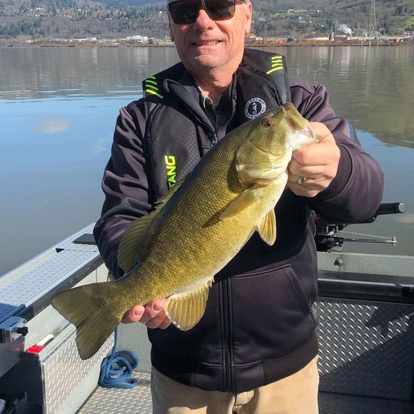 Meet your Posher, Steven - Picture 1 of 1